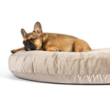 100201_2