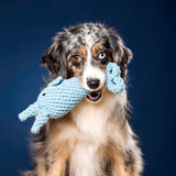 Didi Delfin - Kult-Spielzeug für Hunde