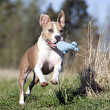 Didi Delfin - Kult-Spielzeug für Hunde