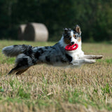 11900_18.jpg