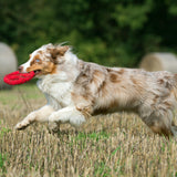 11900_7.jpg