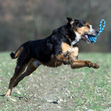 12711_H-4_web