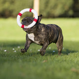 13002_2-Ahoy-LABONIoWIZxS96n4Rs5