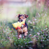 13003_1-Farm