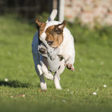 13007_1-Wild-Life