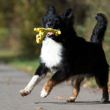 13007_4-Wild-Life