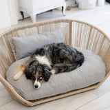 40414-103_x