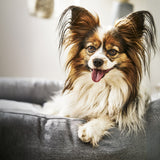 CLASSIC Hundebett  - SMOOTH