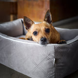 CLASSIC Hundebett  - OXFORD
