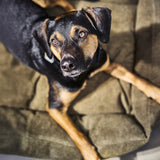 CLASSIC Hundebett  - TUDOR