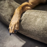 CLASSIC Hundebett  - TUDOR