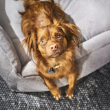 CLASSIC Hundebett  - TUDOR