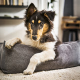 CLASSIC Hundebett  - TUDOR