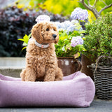 CLASSIC Hundebett  - TUDOR