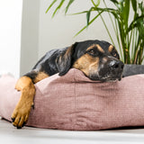 CLASSIC Hundebett  - TUDOR