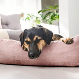 CLASSIC Hundebett  - TUDOR