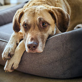 CLASSIC Hundebett  - BUFFALO