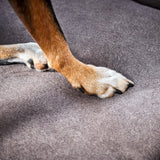 CLASSIC Hundebett  - BUFFALO