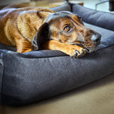CLASSIC Hundebett  - BUFFALO