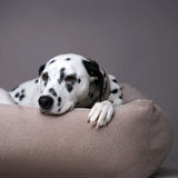 CLASSIC Hundebett  - BUFFALO