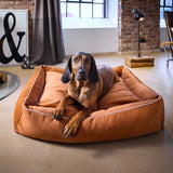 CLASSIC Hundebett  - BUFFALO
