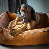 CLASSIC Hundebett  - BUFFALO