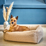 CLASSIC Hundebett  - TEDDY