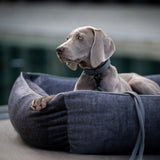 CLASSIC Hundebett  - GLAM