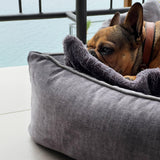CLASSIC Hundebett  - GLAM
