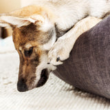 CLASSIC Hundebett  - GLAM