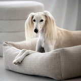 CLASSIC Hundebett  - NOVA