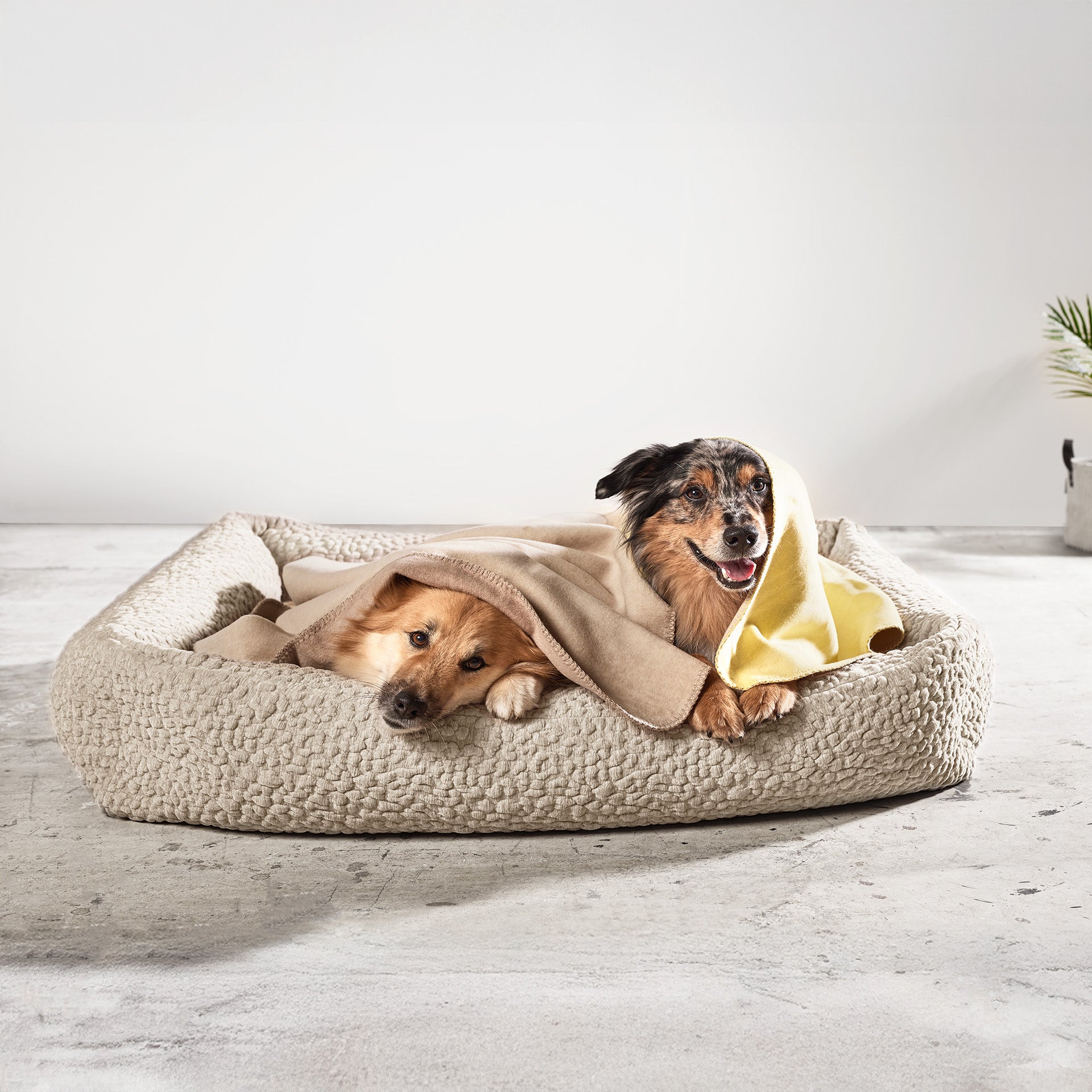4102SX-715_5c