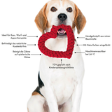 483-jpgvDX3iMkSErBT1