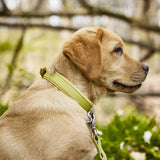 5001S-100_3
