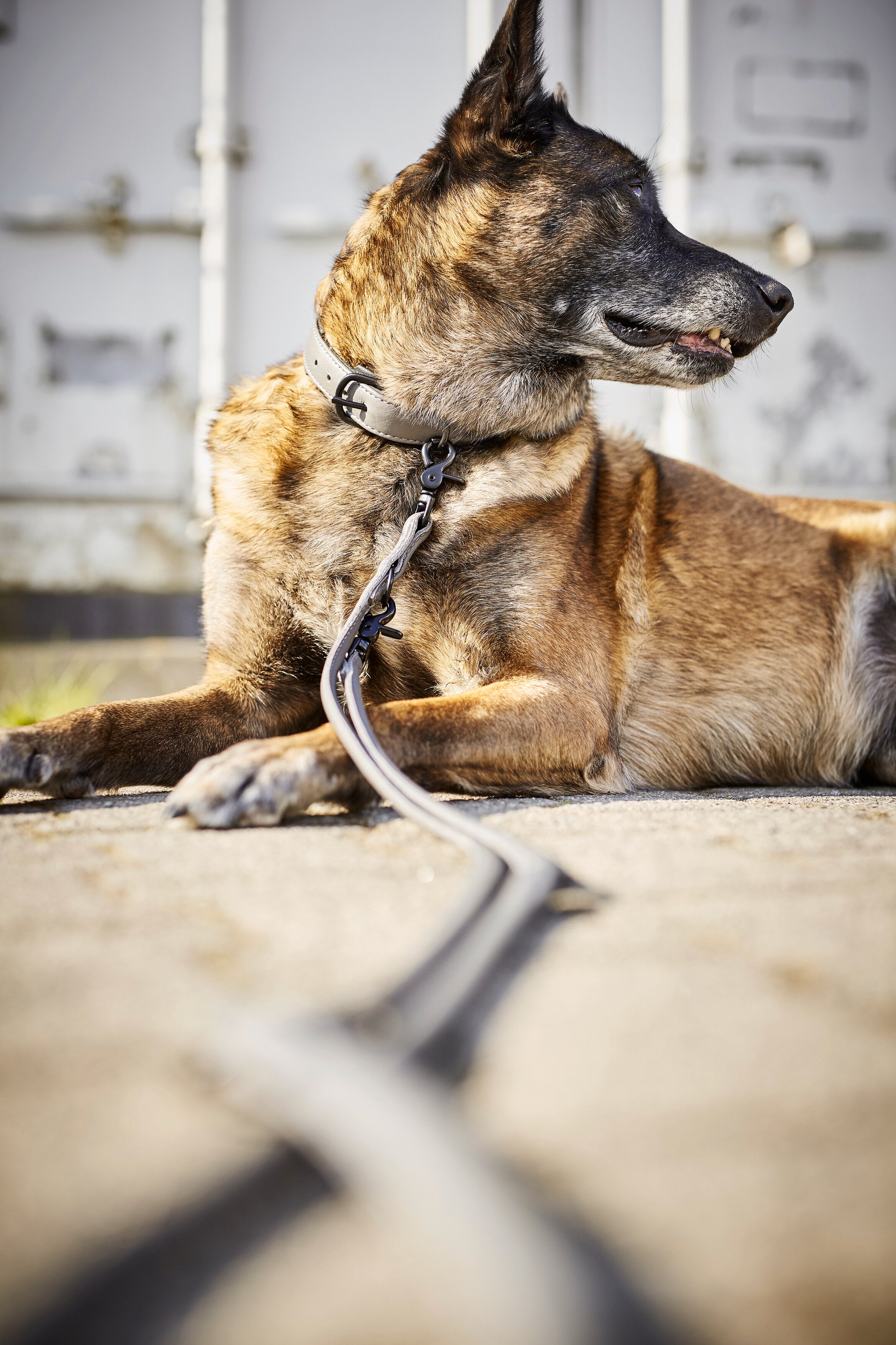 5001S-104_3