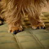 701200_3dvY4EDCAZ5I32