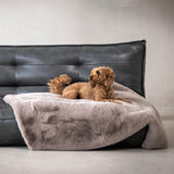 Decke SOFT AFFAIR - Edle Webpelz-Decke