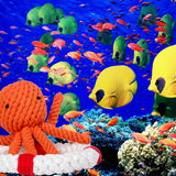 Fun-3-Rec_11800.jpg