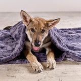LABONI_08_2022_Wolfshund_128