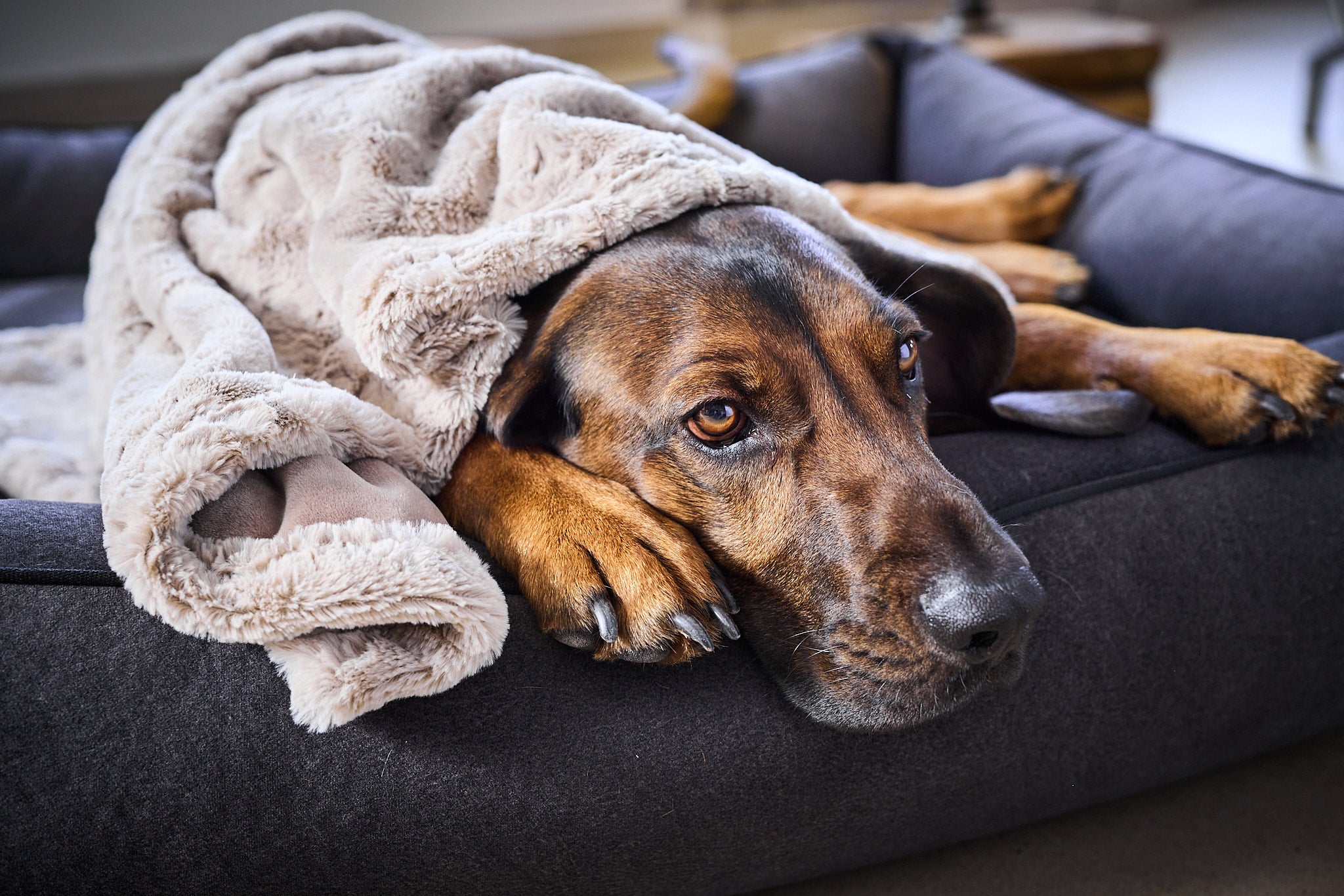 LABONI_Decke_Cozy_beige_01