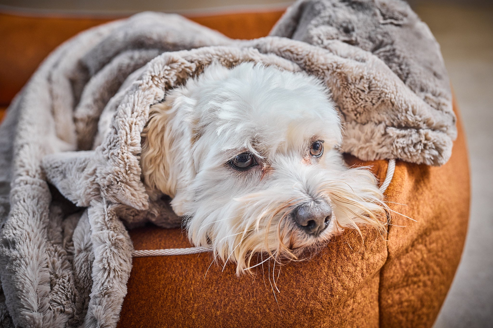 LABONI_Decke_Cozy_beige_16