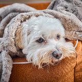 LABONI_Decke_Cozy_beige_16