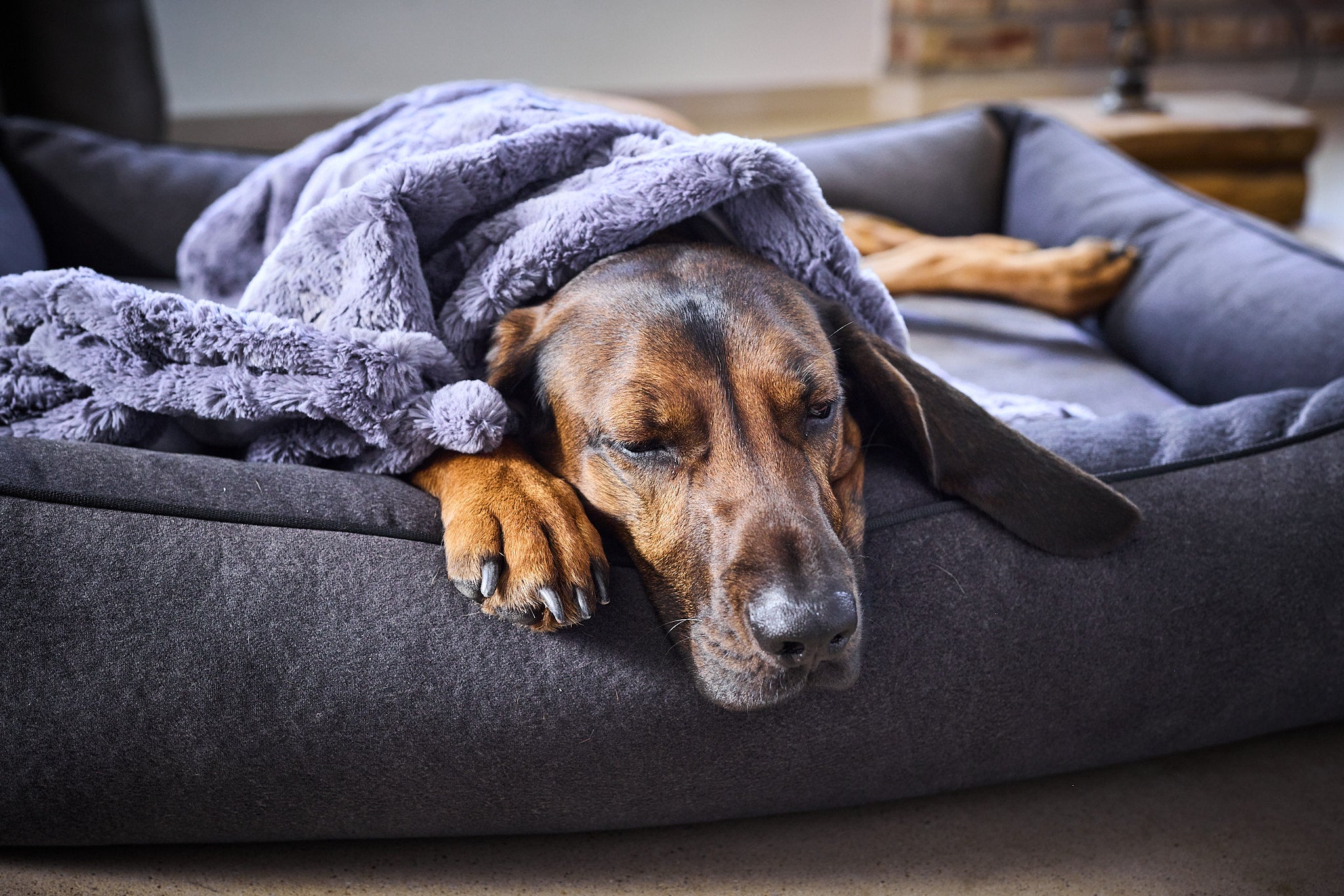 LABONI_Decke_Cozy_stone_06
