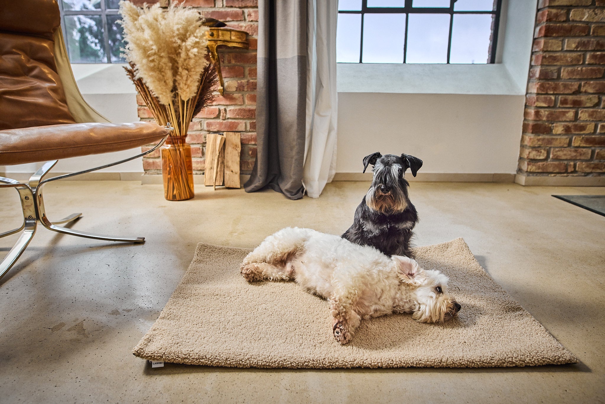 LABONI_Decke_Teddy_beige_M_03