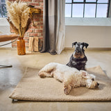 LABONI_Decke_Teddy_beige_M_03