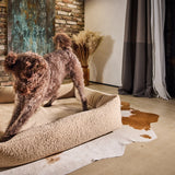 LABONI_Polsterbett_Teddy_beige_L_15