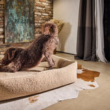 LABONI_Polsterbett_Teddy_beige_L_16