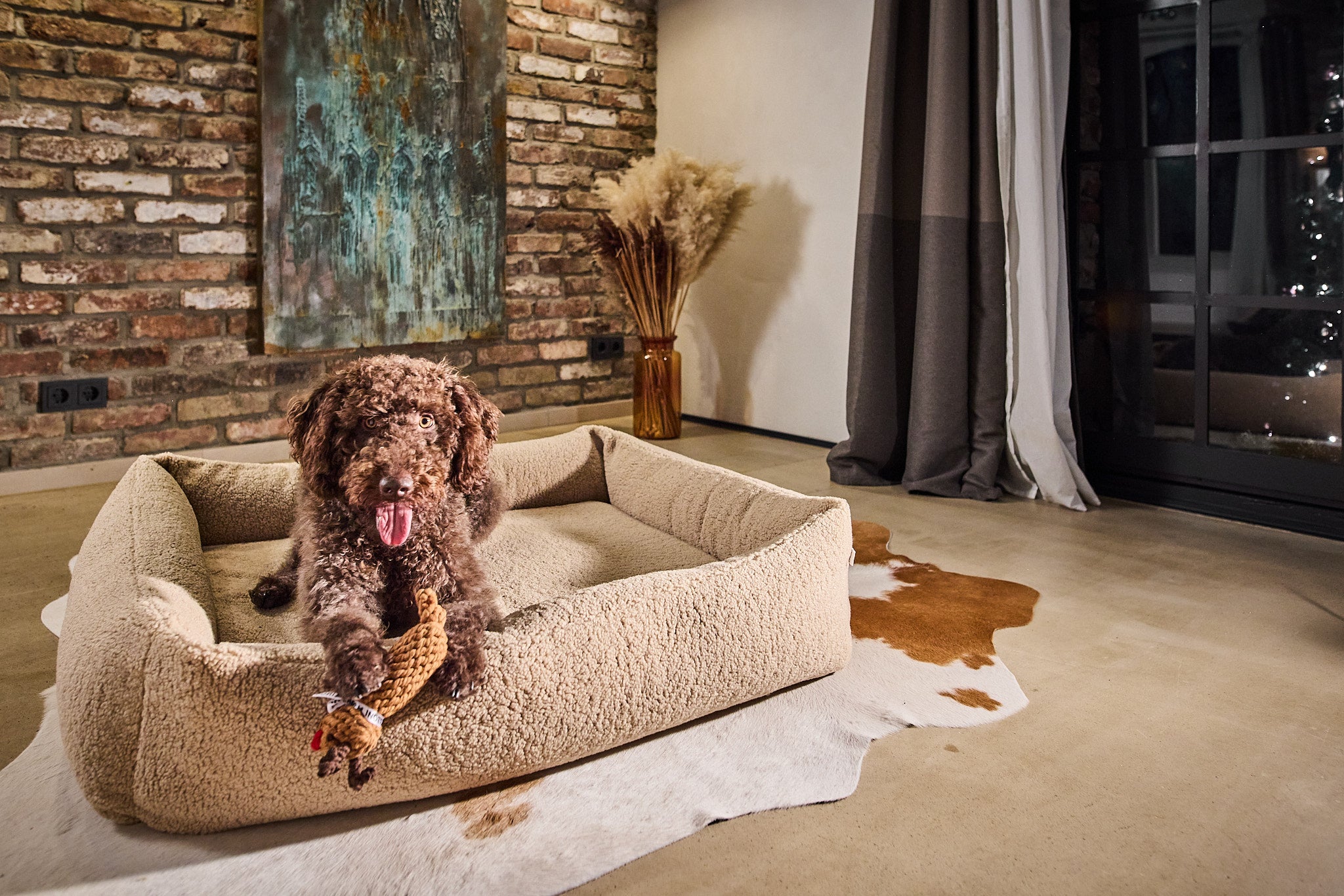 LABONI_Polsterbett_Teddy_beige_L_17