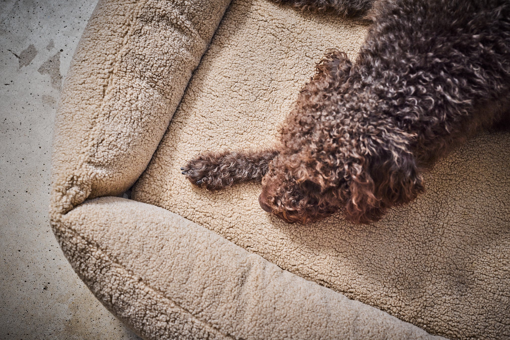 LABONI_Polsterbett_Teddy_beige_L_35