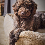 LABONI_Polsterbett_Teddy_beige_L_43